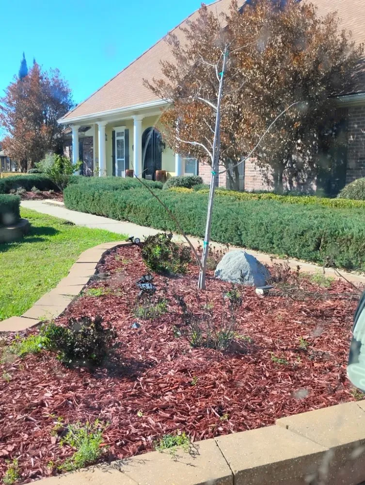 Trusted garden landscaping for beautiful yards in Lafayette, LA by Angelles Lawn, Tree and Pressure Washing
