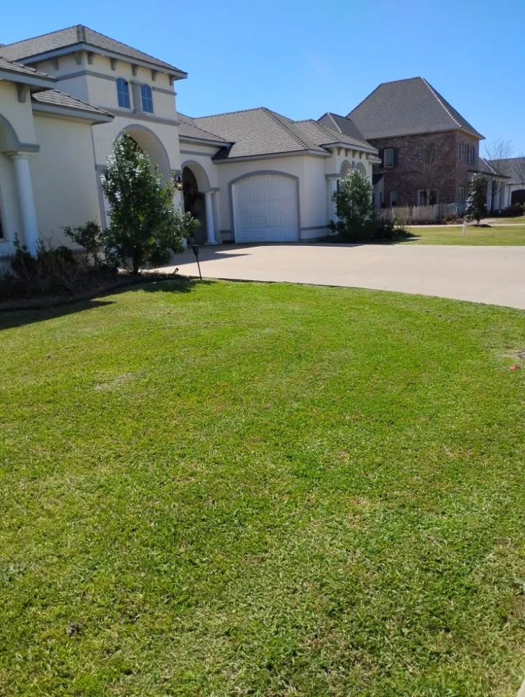 Local landscape design experts serving Lafayette, LA - Angelles Lawn, Tree and Pressure Washing