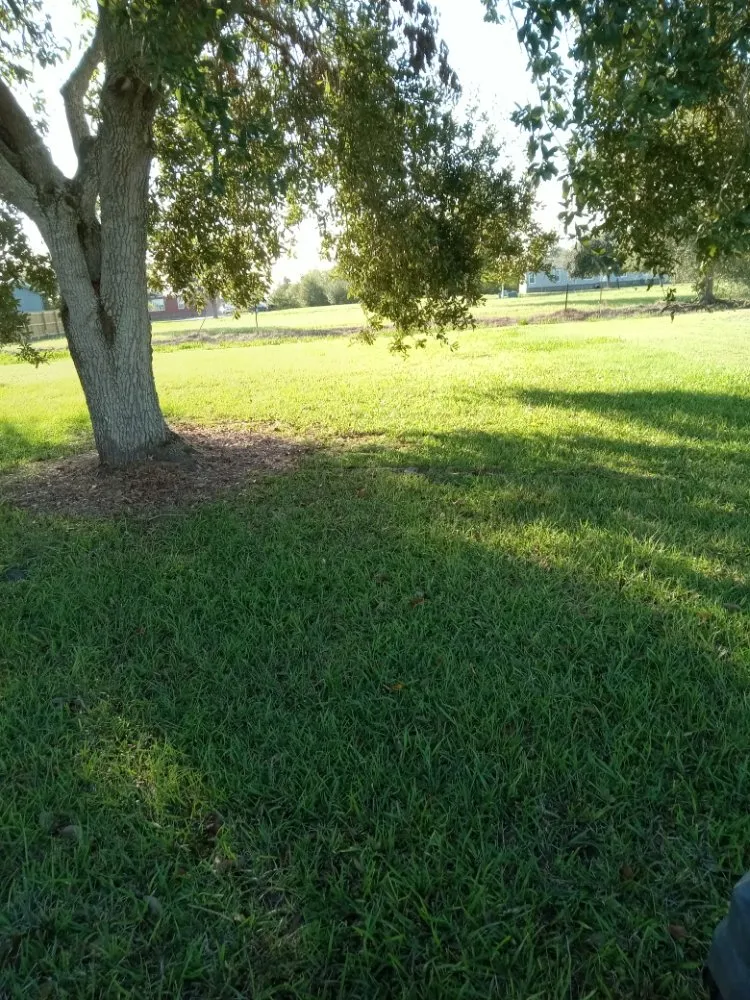 Professional garden landscaping for year-round maintenance across Lafayette, LA - Angelles Lawn, Tree and Pressure Washing