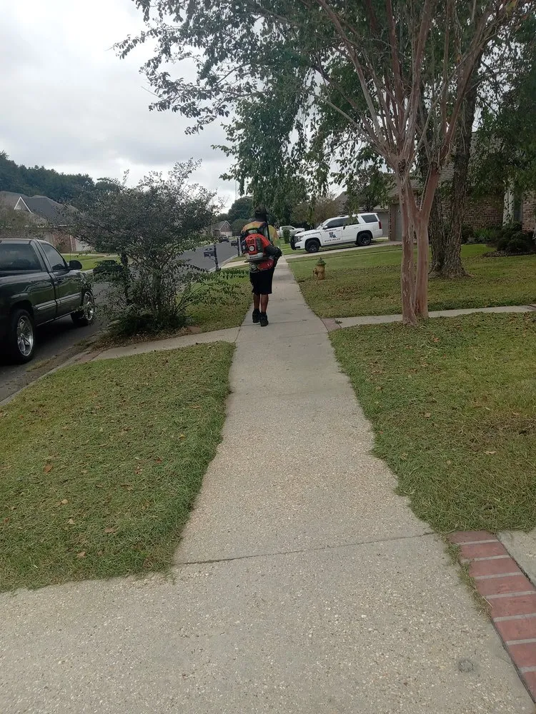 Professional garden landscaping in Lafayette, LA - Angelles Lawn, Tree and Pressure Washing