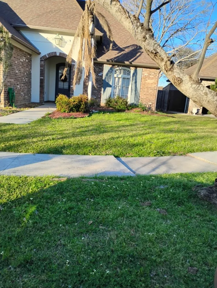 Custom landscape installation experts serving Lafayette, LA - Angelles Lawn, Tree and Pressure Washing