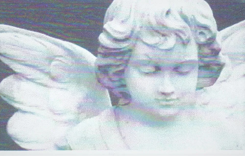 Custom landscape installation for residential properties in Longboat Key, FL by Angell's Total Management Services, Inc.