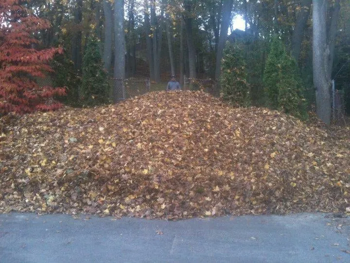 Affordable yard maintenance experts serving Maynard, MA - Angelo Caruso Landscape