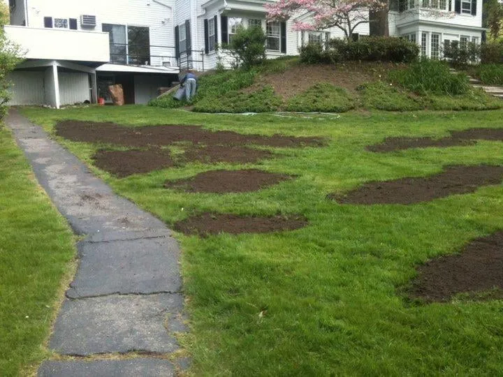 Trusted outdoor landscaping experts serving Maynard, MA - Angelo Caruso Landscape