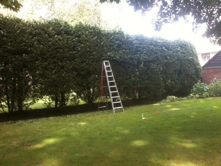 Expert landscape design near you across Maynard, MA - Angelo Caruso Landscape