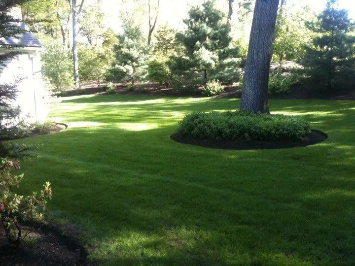 Custom lawn mowing service in Maynard, MA - Angelo Caruso Landscape