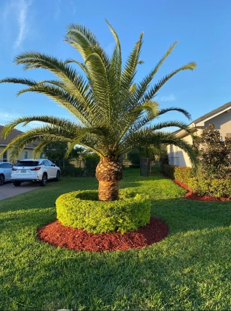 Reliable landscape installation in Fort Lauderdale, FL - Angelo Landscaping Services