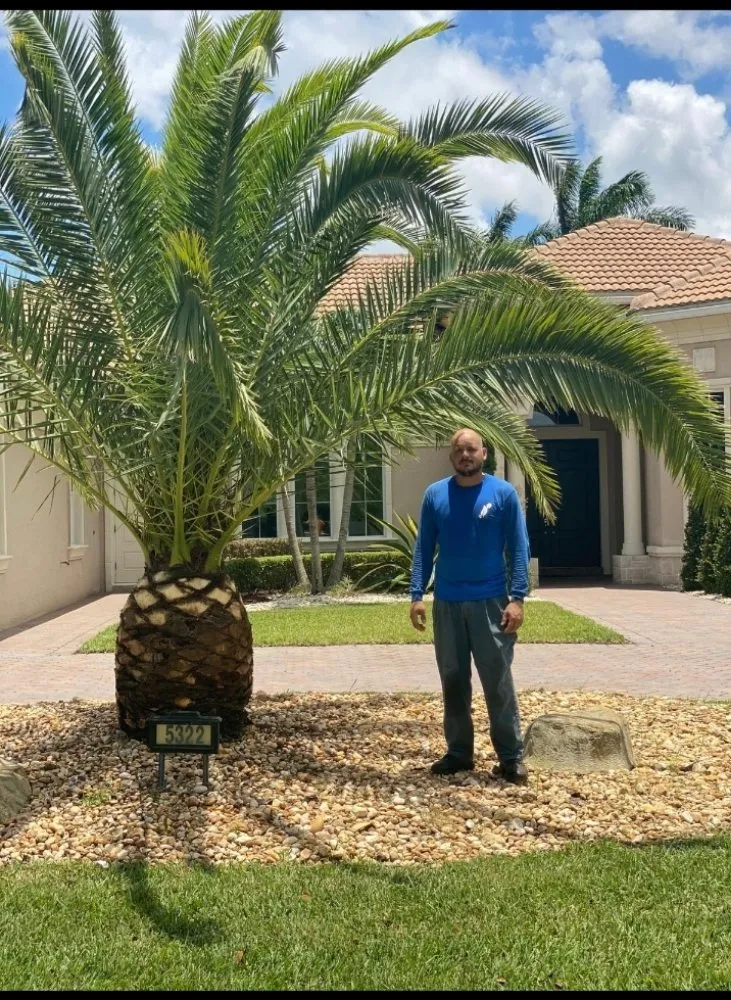 Custom yard maintenance in Fort Lauderdale, FL - Angelo Landscaping Services