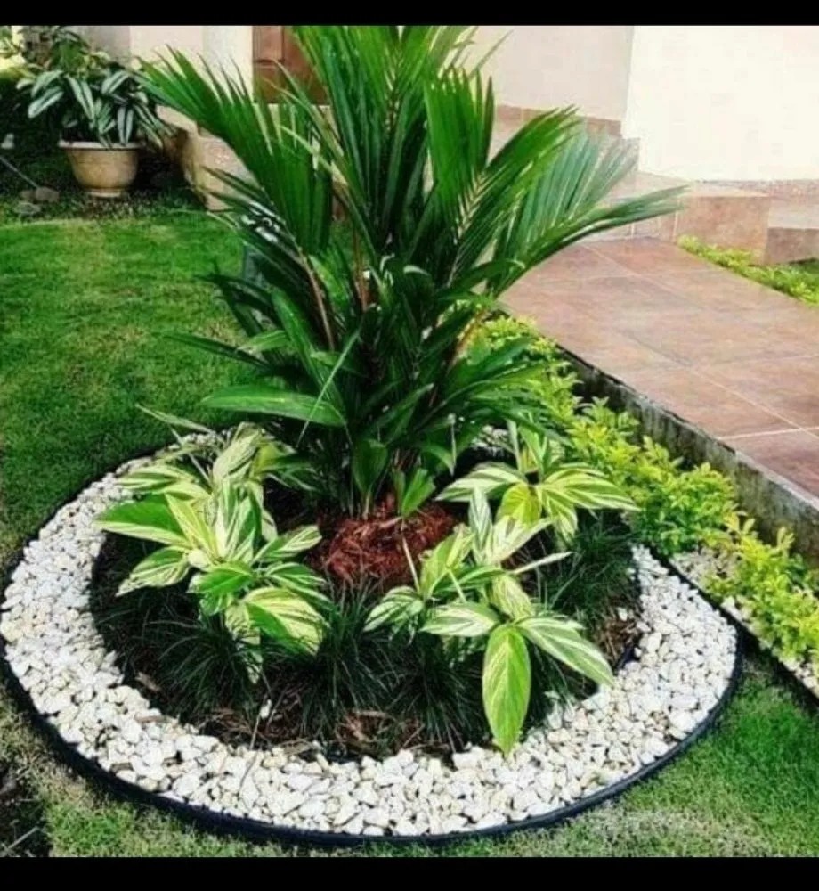 Trusted lawn mowing service experts serving Fort Lauderdale, FL - Angelo Landscaping Services