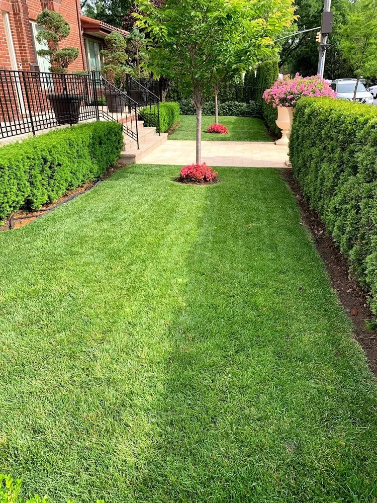 Top-rated lawn care service for beautiful yards in Brooklyn, NY by Angelo Pizzirusso Landscaping