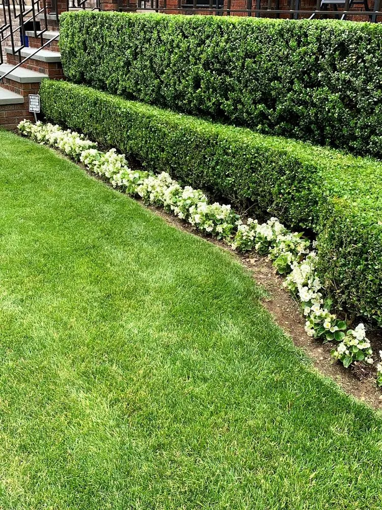 Local landscape design in Brooklyn, NY - Angelo Pizzirusso Landscaping