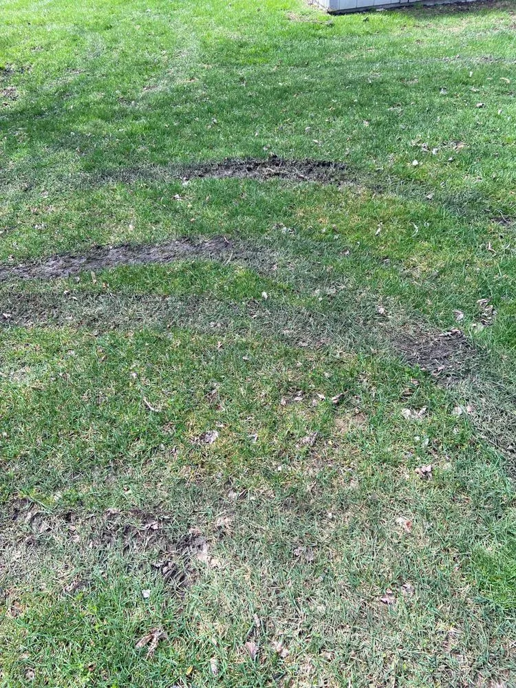 Professional yard cleanup service for beautiful yards in Fraser, MI by Angelos Landscape and Snow Service