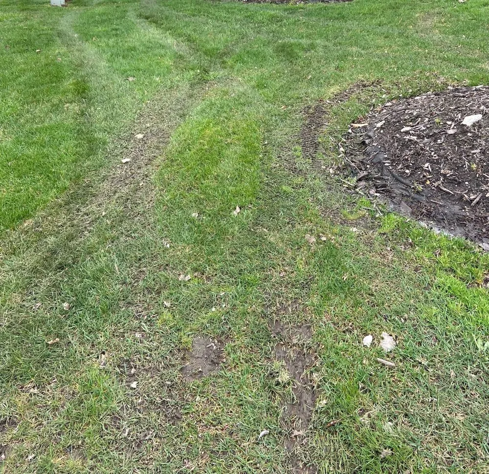 Trusted residential landscaping for year-round maintenance in Fraser, MI by Angelos Landscape and Snow Service