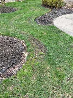 Angelos Landscape and Snow Service