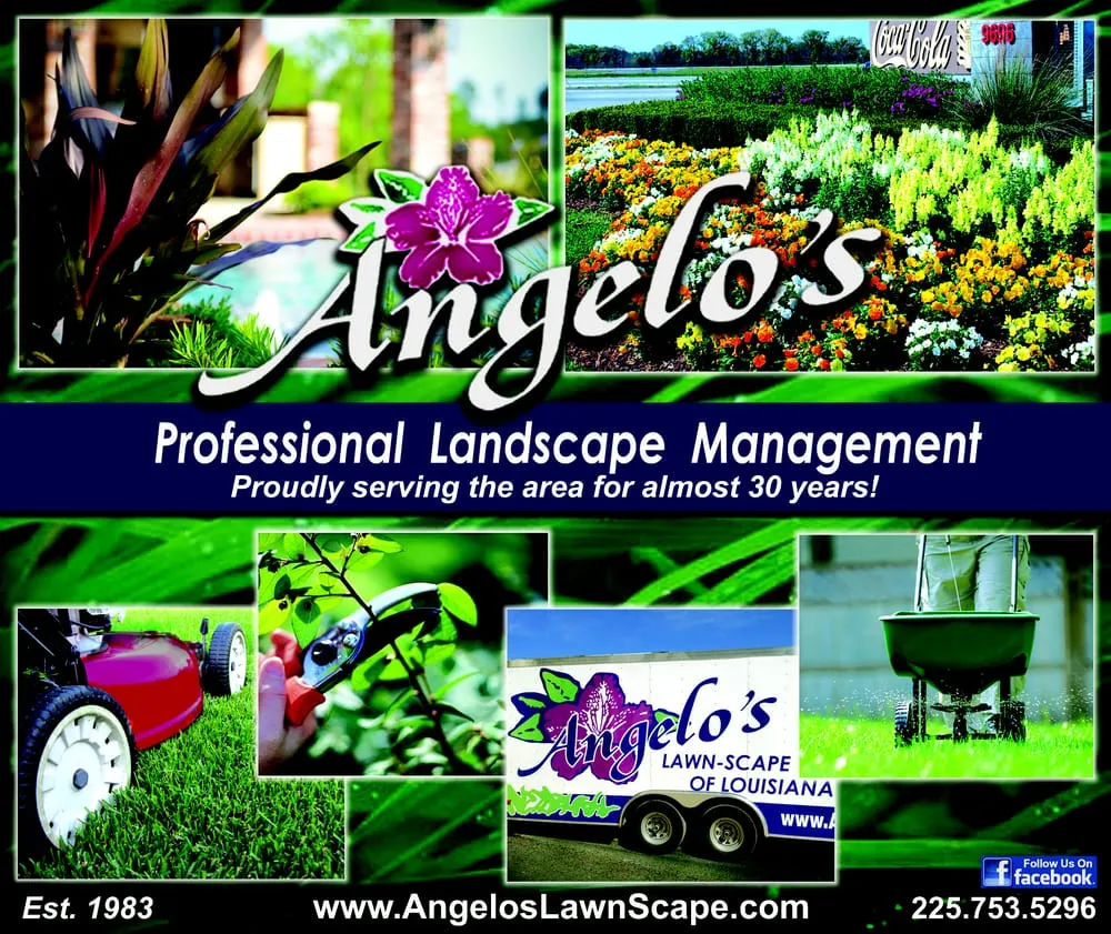 Local yard cleanup service for year-round maintenance across Baton Rouge, LA - Angelo's Landscape Group