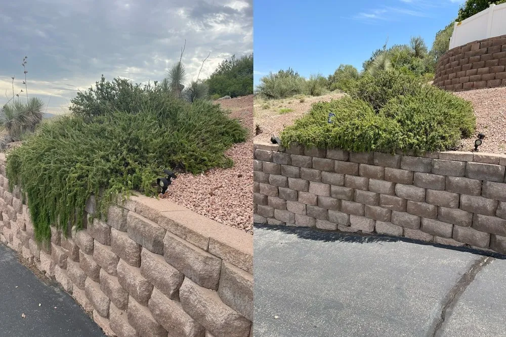 Reliable lawn mowing service for outdoor upgrades in Cottonwood, AZ by Angelo's Landscape Maintenance