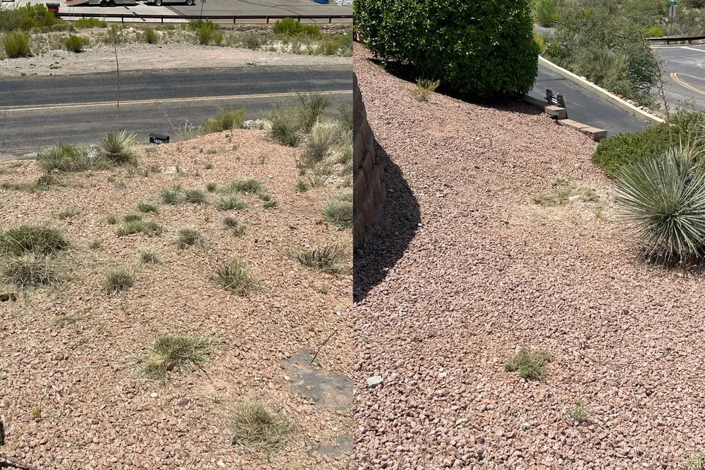 Local outdoor landscaping experts serving Cottonwood, AZ - Angelo's Landscape Maintenance