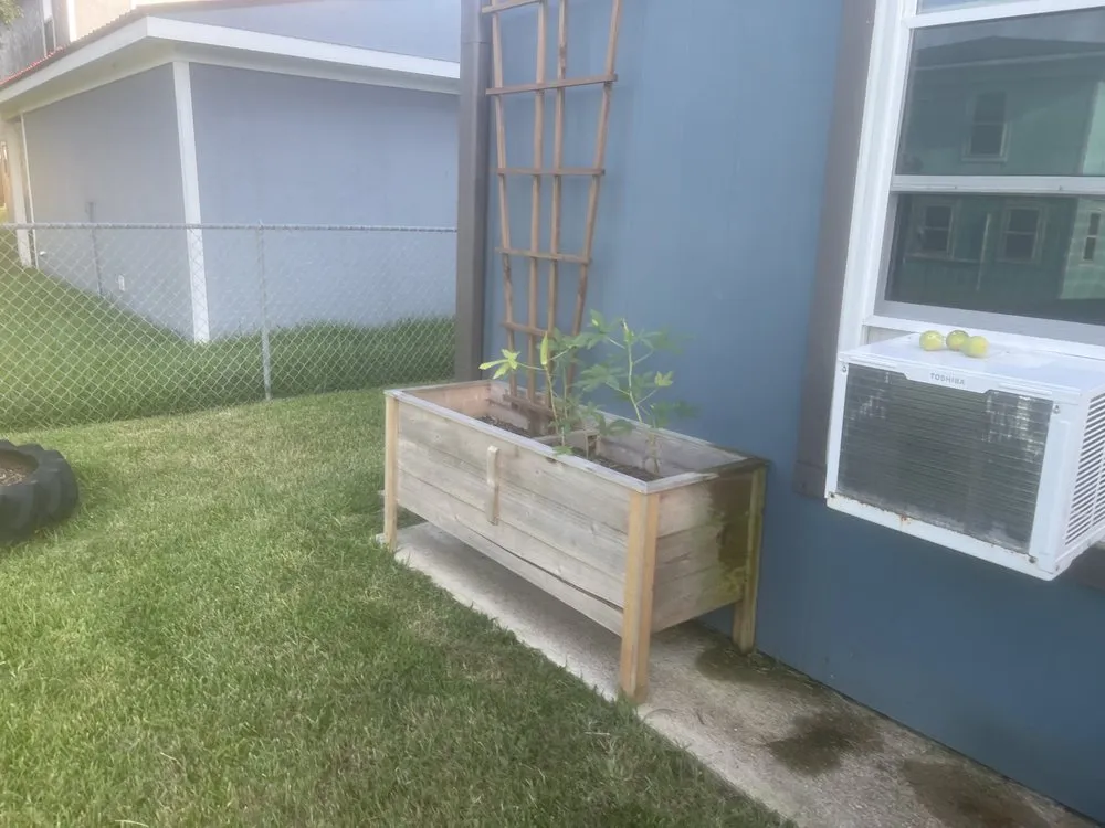 Reliable outdoor landscaping for outdoor upgrades in Freeport, TX by Angelo’s mowing