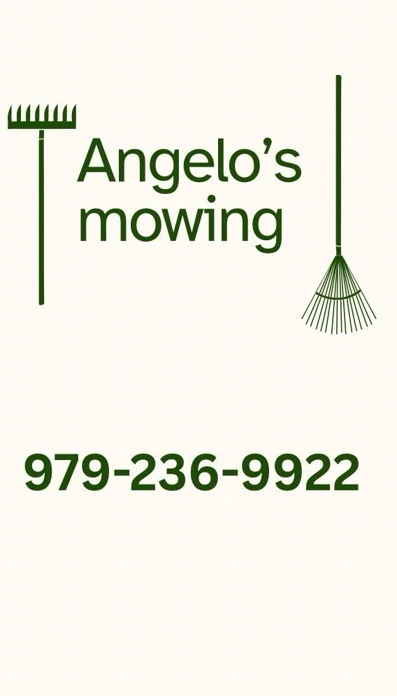 Expert yard cleanup service in Freeport, TX by Angelo’s mowing