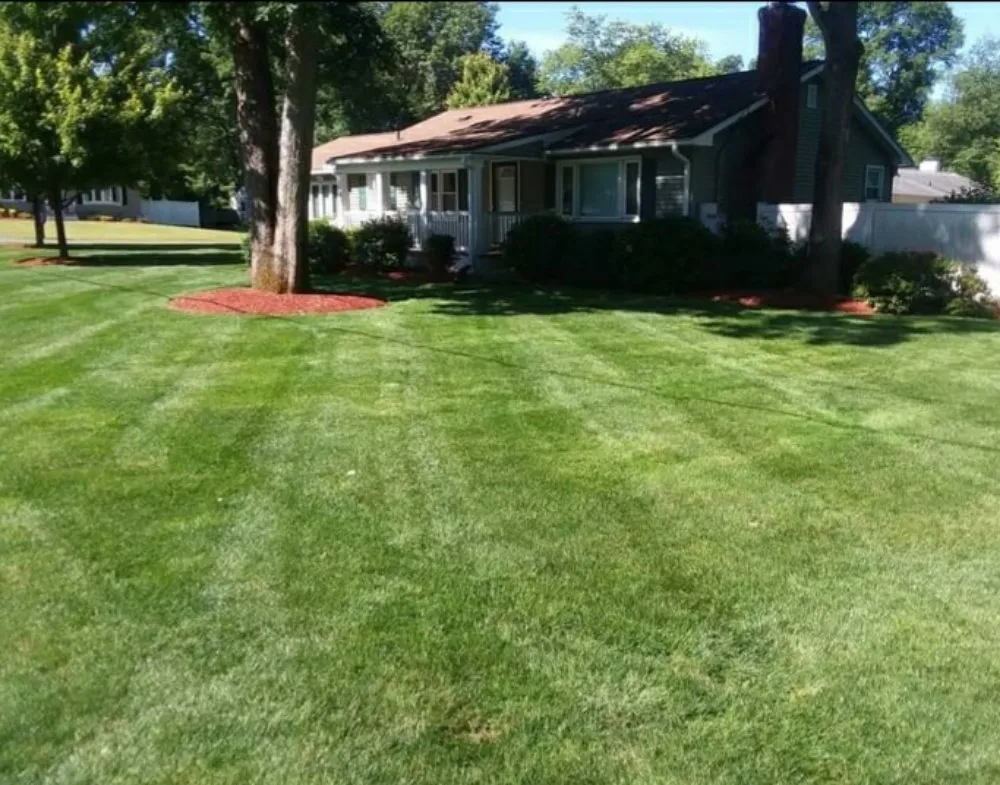 Affordable lawn mowing service in Springfield, MA by Angel's 4Seasons