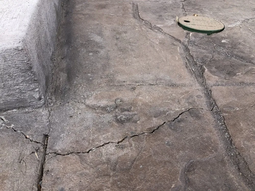 Local residential landscaping experts serving Colorado Springs, CO - Angel’s Concrete & Landscaping