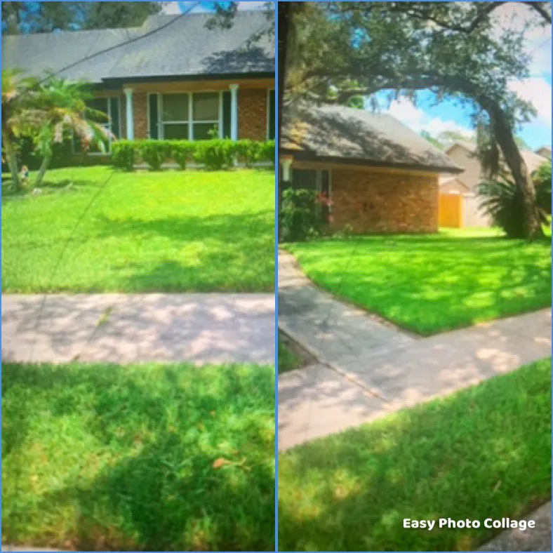 Top-rated lawn care service in Orlando, FL - Angel’s First Class Service