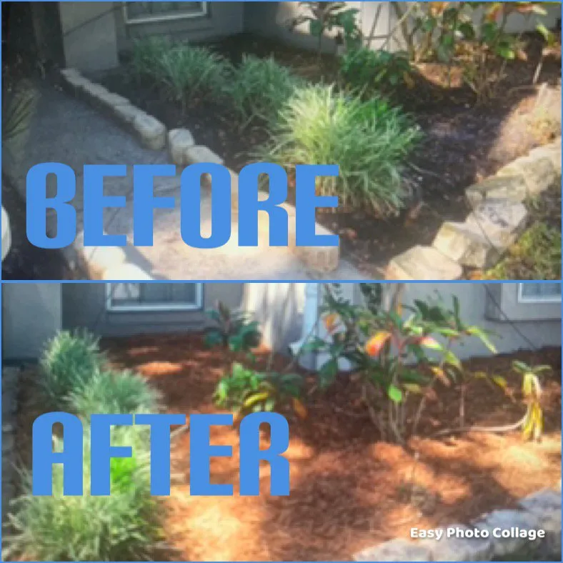 Trusted lawn care service for beautiful yards in Orlando, FL by Angel’s First Class Service