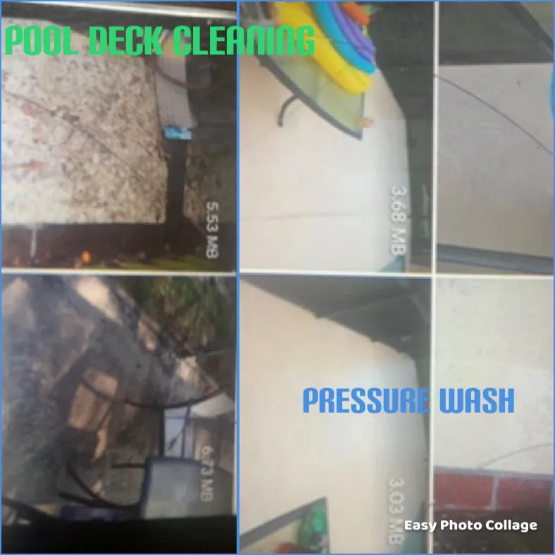 Affordable lawn care service in Orlando, FL by Angel’s First Class Service