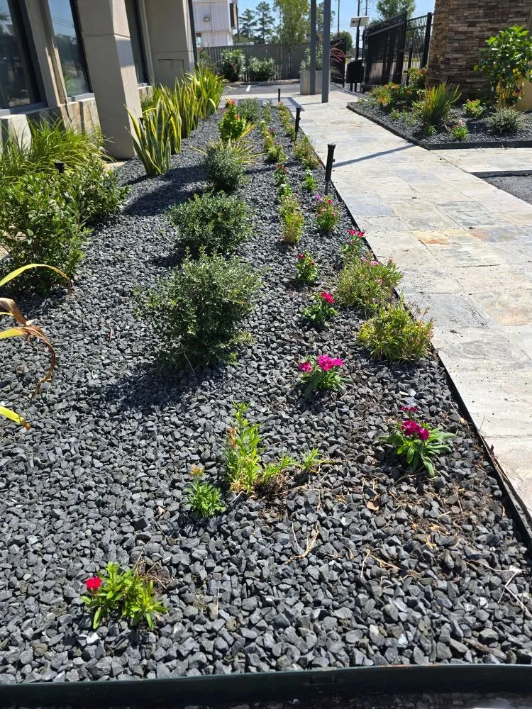 Reliable residential landscaping in Houston, TX - Angel's Garden Lawn & Landscape