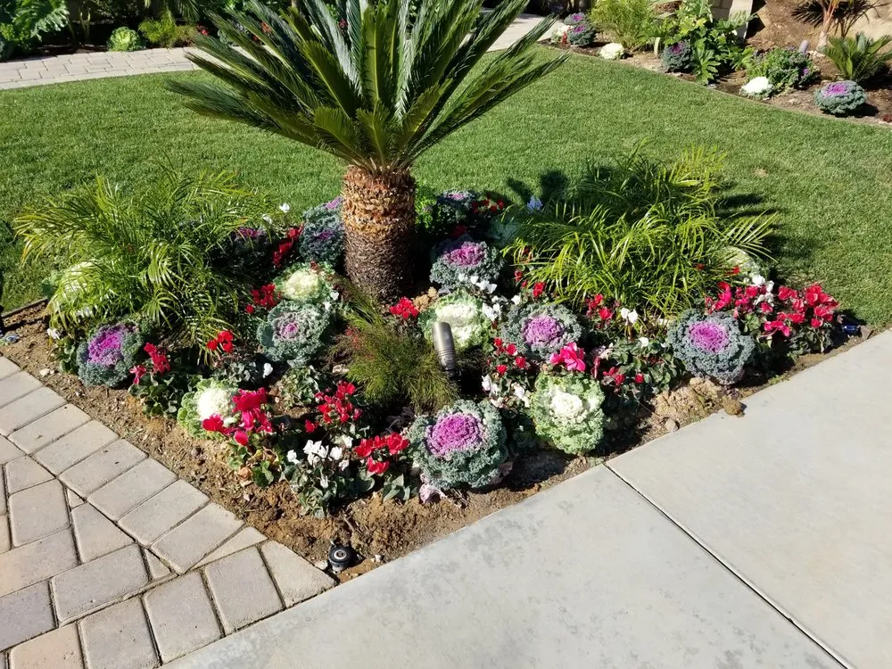 Local landscape installation for homes in Simi Valley, CA by Angel's Garden Maintenance