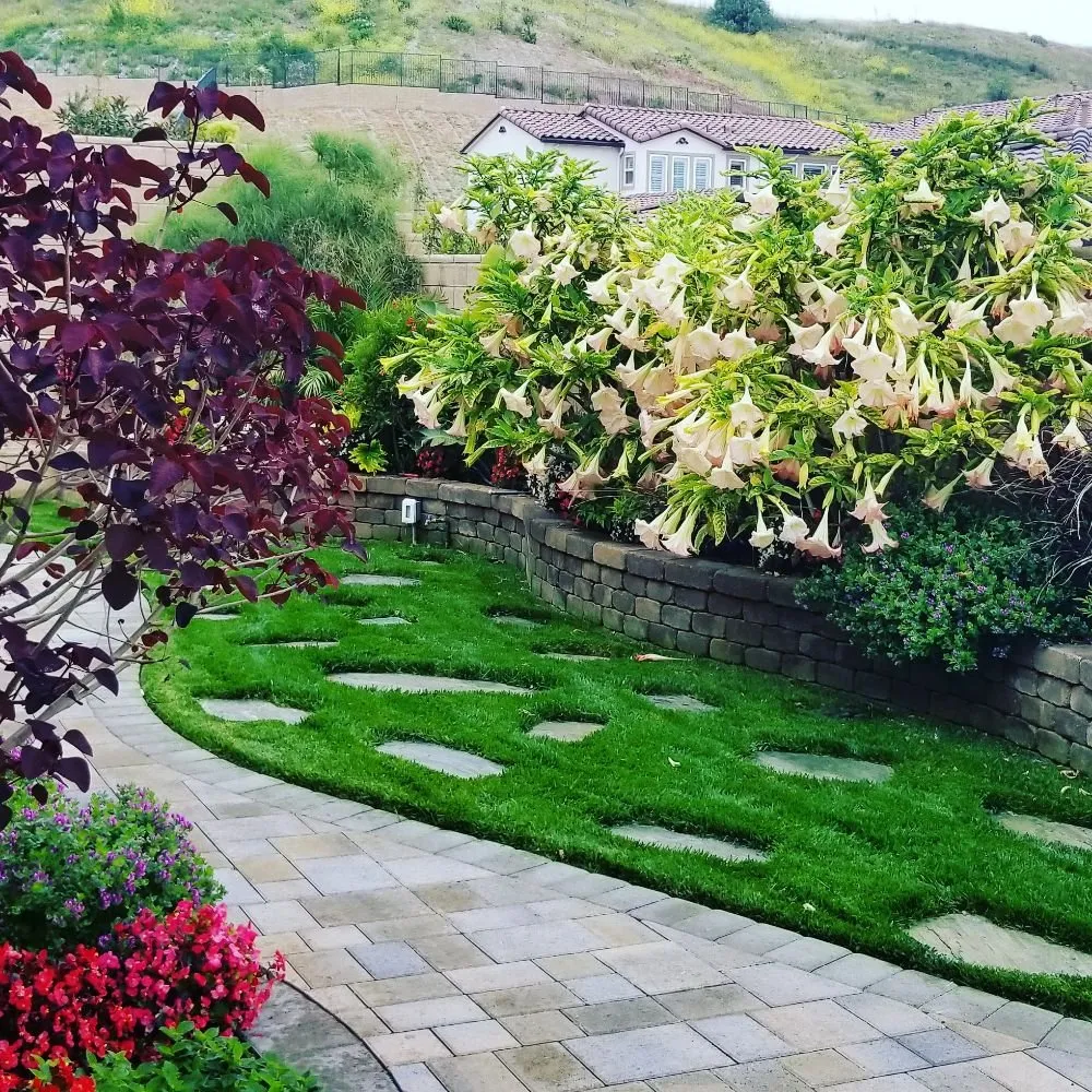 Custom lawn mowing service in Simi Valley, CA - Angel's Garden Maintenance