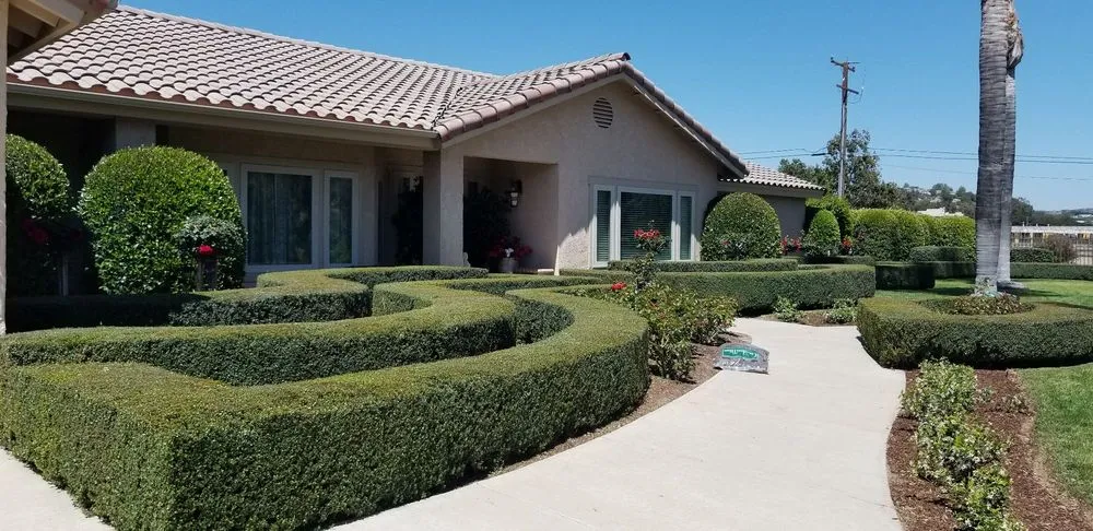 Professional yard maintenance for year-round maintenance in Simi Valley, CA by Angel's Garden Maintenance