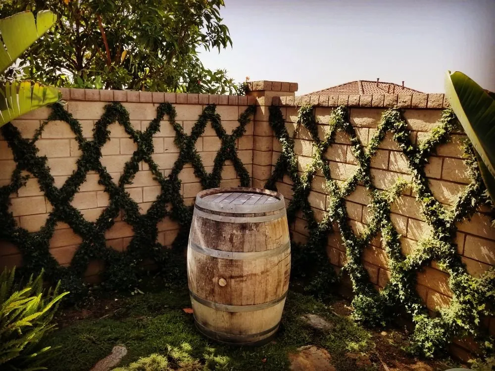 Reliable landscape design in Simi Valley, CA by Angel's Garden Maintenance