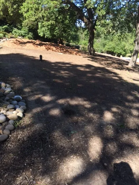 Trusted yard cleanup service for beautiful yards in Menlo Park, CA by Angel's Gardening Service MB