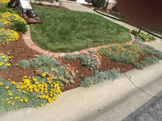 Reliable outdoor landscaping in Menlo Park, CA by Angel's Gardening Service MB