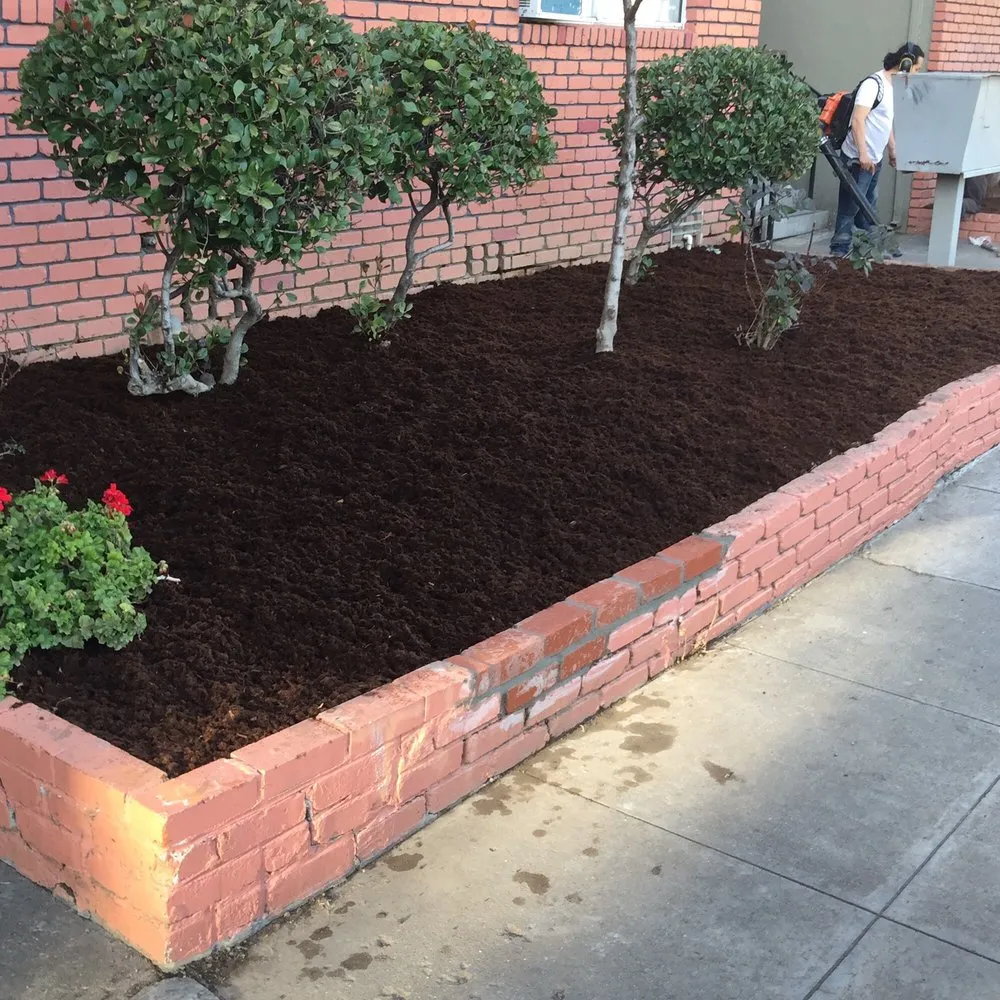 Top-rated yard cleanup service for outdoor upgrades in Menlo Park, CA by Angel's Gardening Service MB