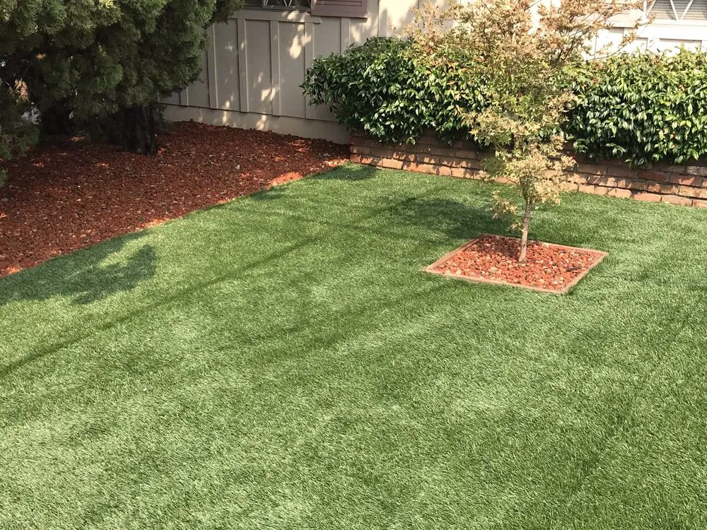 Trusted yard cleanup service in Menlo Park, CA by Angel's Gardening Service MB