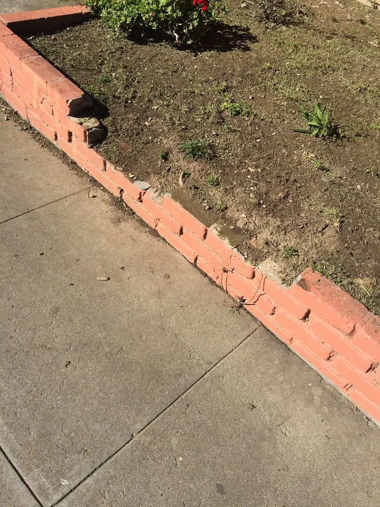 Top-rated yard cleanup service for beautiful yards in Menlo Park, CA by Angel's Gardening Service MB