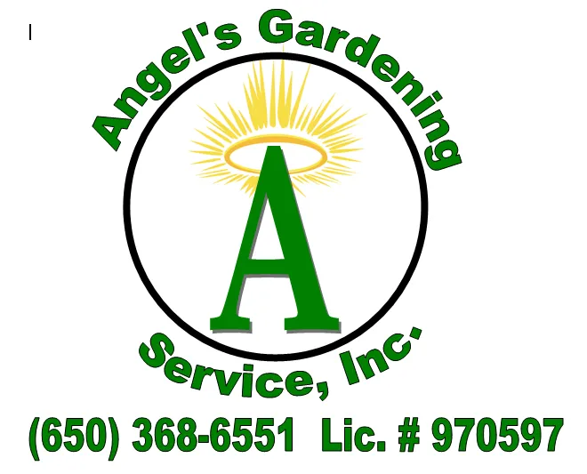 Expert lawn mowing service in San Carlos, CA - Angel's Gardening Service