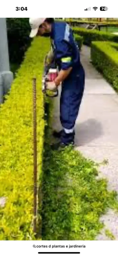 Top-rated yard maintenance in Chino, CA - Angel's Gardening Services