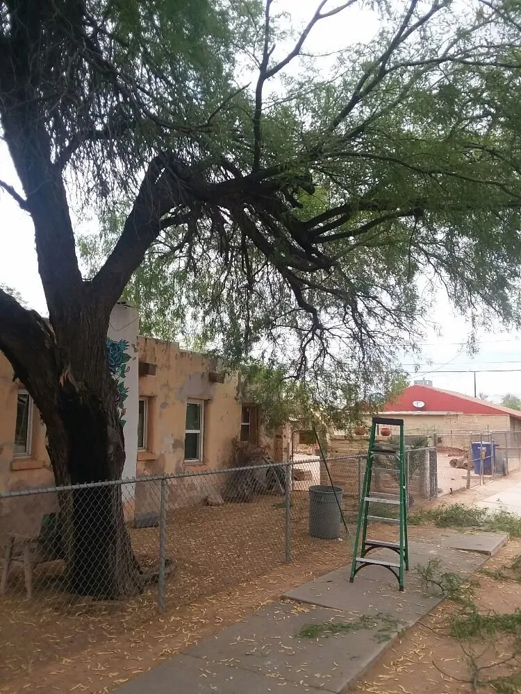 Top-rated yard cleanup service for beautiful yards in Tucson, AZ by Angel's Handyman and Landscaping services