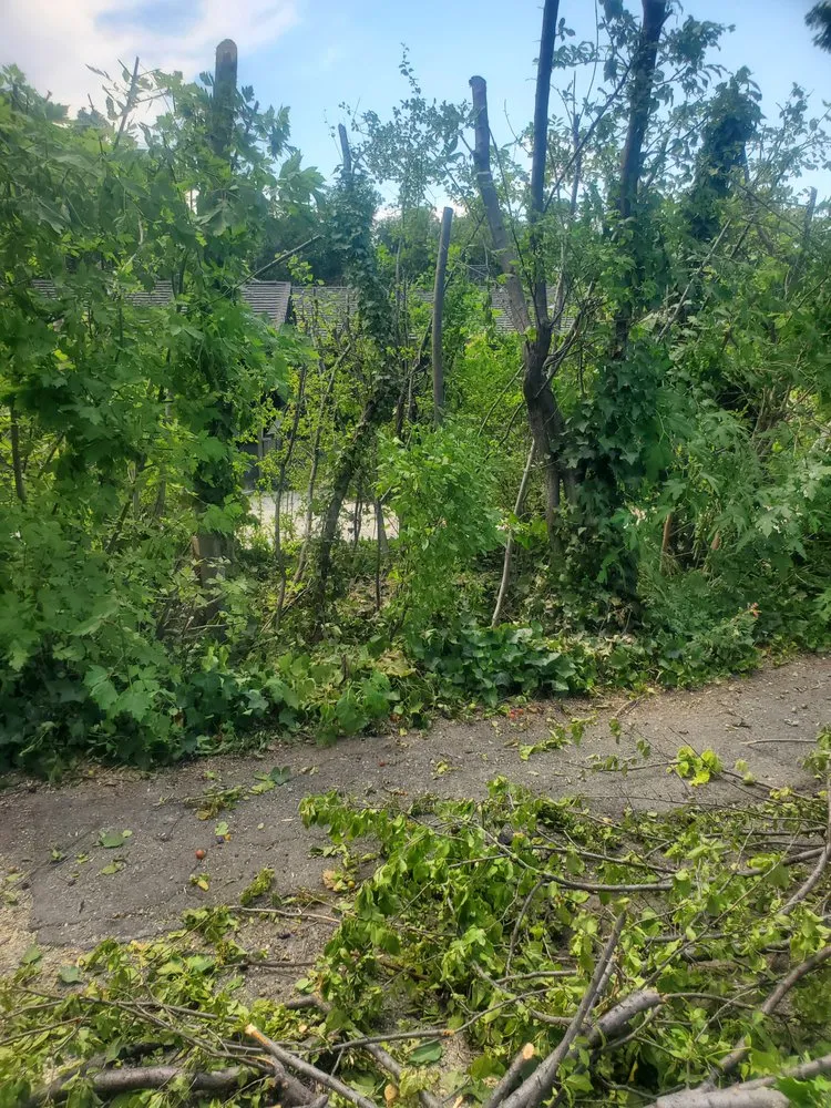 Top-rated outdoor landscaping for beautiful yards in West Valley City, UT by Angel's Hauling