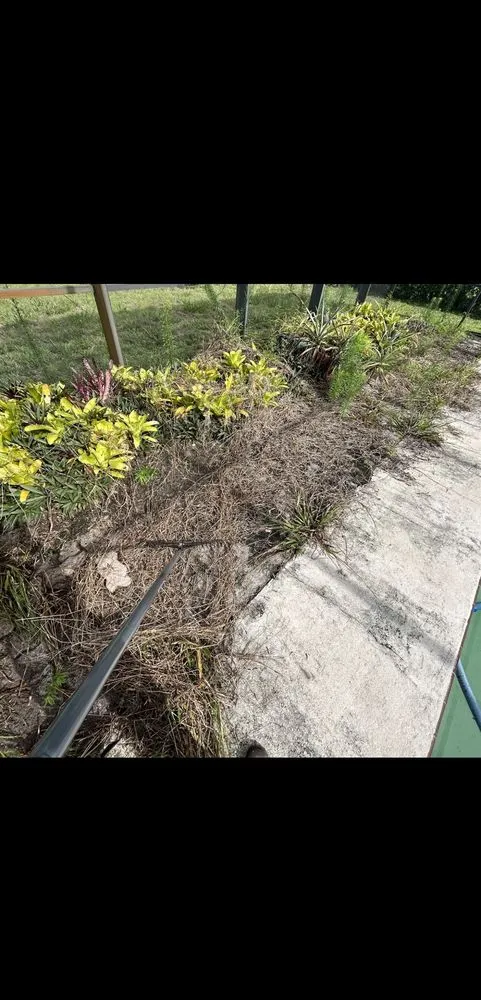 Top-rated garden landscaping experts serving Fort Pierce, FL - Angel’s High Quality Cleans