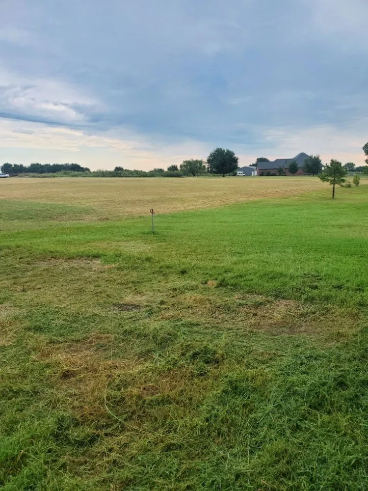 Affordable lawn mowing service for homes in Oklahoma City, OK by Angels Junk Removal