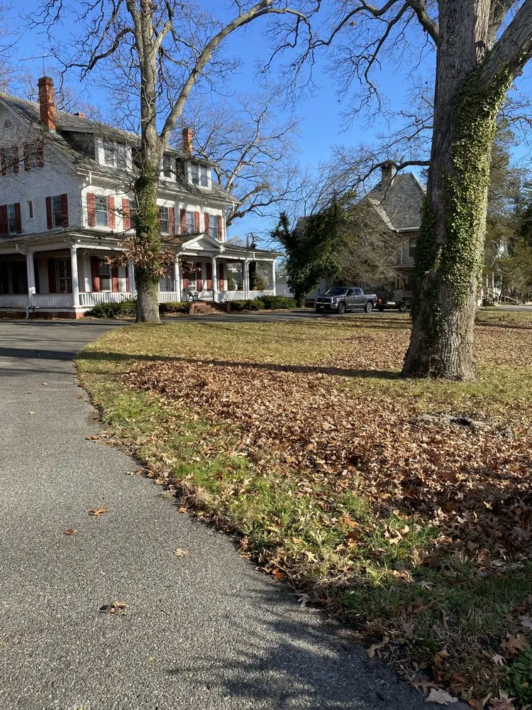 Top-rated yard maintenance experts serving Millville, NJ - Angels Land Management