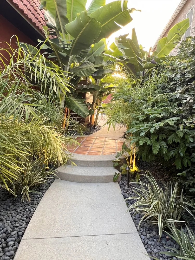 Reliable yard cleanup service in Paramount, CA - Angels Landscape