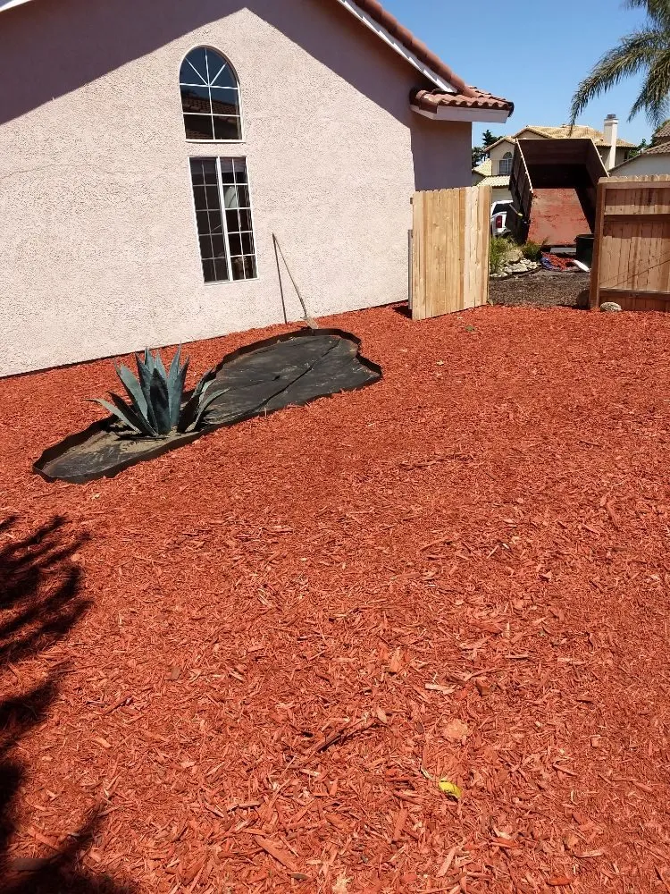 Expert outdoor landscaping for beautiful yards across Santa Maria, CA - Angels Landscape