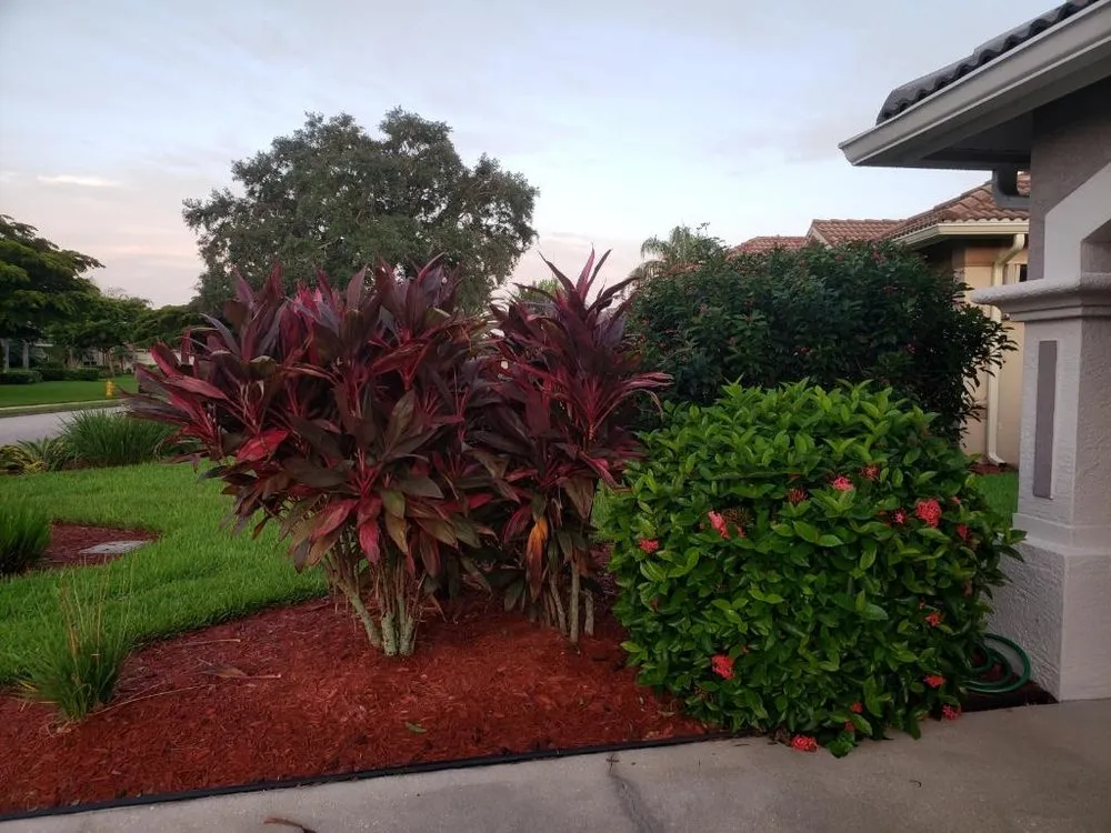 Reliable yard cleanup service in Lehigh Acres, FL - Angel's Landscaping & Lawn Services