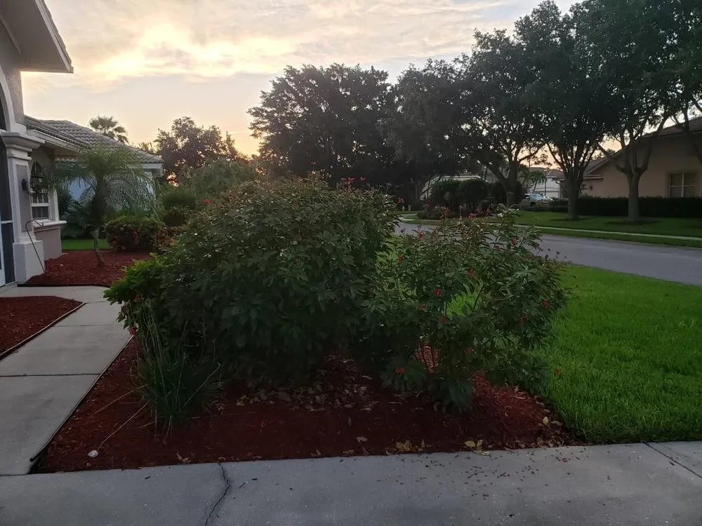 Professional yard cleanup service near you across Lehigh Acres, FL - Angel's Landscaping & Lawn Services