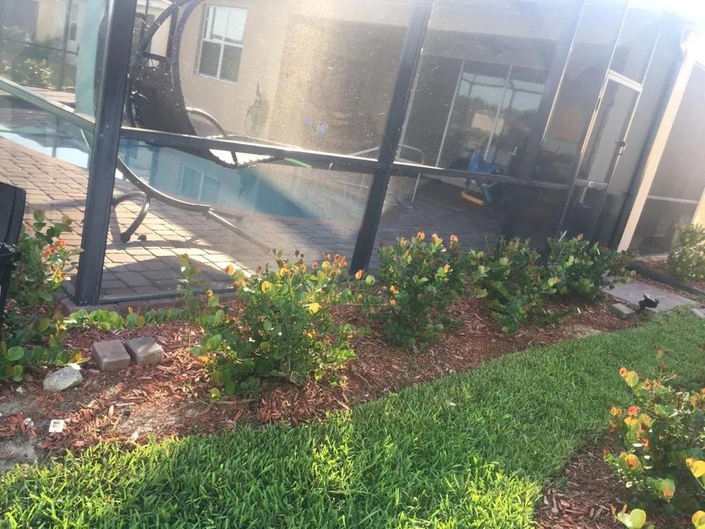 Local landscaping services in Lehigh Acres, FL - Angel's Landscaping & Lawn Services